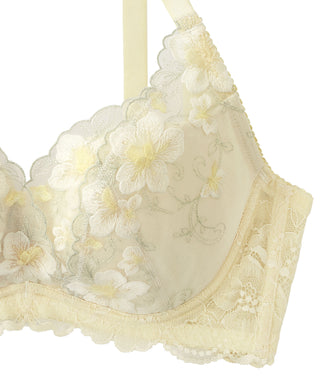 القائمة الكاملة لصدرية التنحيف الجانبية من الدانتيل (FGH Cup)