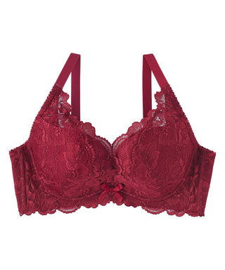 Side Slimming Lace Push-Up Bra (FGH Cup)