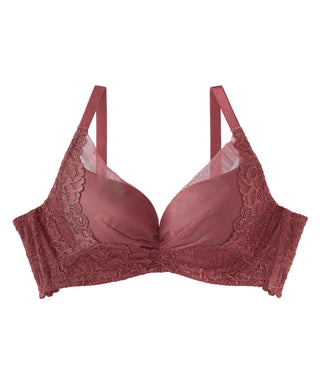 جانب رفع الدانتر