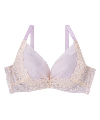 جانب رفع الدانتر