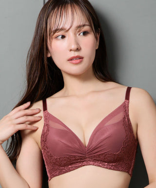 جانب رفع الدانتر